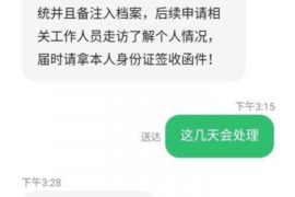 丹东为什么选择专业追讨公司来处理您的债务纠纷？